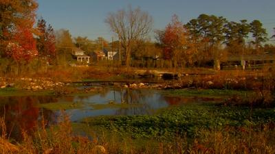 6TW1104T.00_01_04_00.Still001