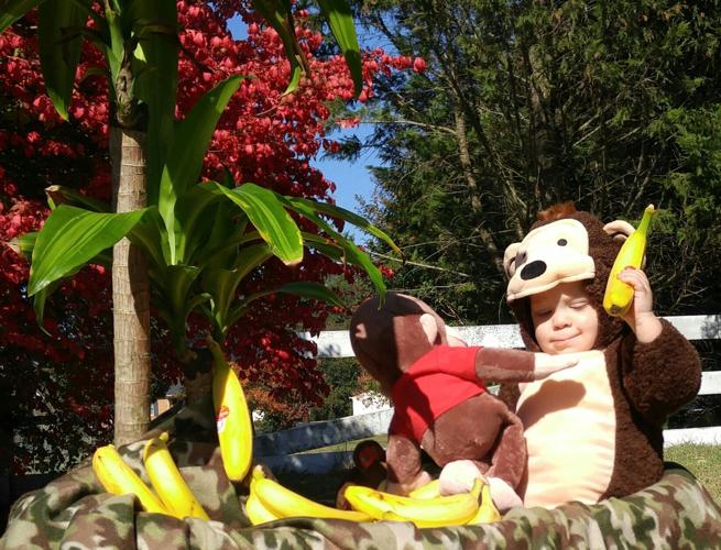 Ezra’s costume….pure cuteness2