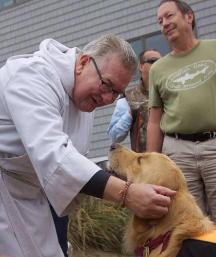 14484751_648603958646655_7187776798054262710_n