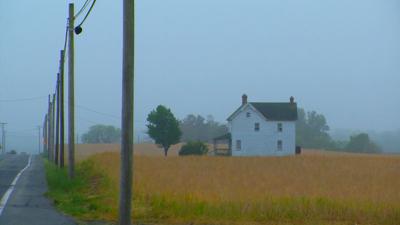Travels With Charlie: Early Morning Fog
