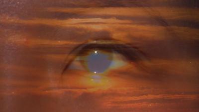 Travels With Charlie: The Eyes Have It