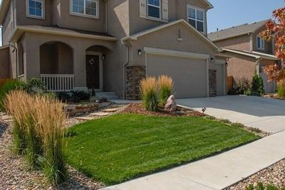 Olson Outdoors Highlights Colorado Summer Lawn Disease Prevention Focus Planning