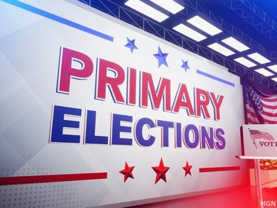 primary election generic