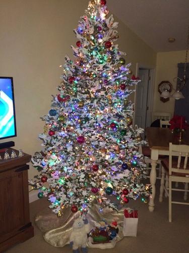 Bunting Family tree Selbyville DE