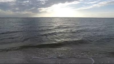 Travels With Charlie: Shores of Our Coastal Bays