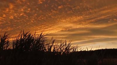 Travels With Charlie: Out at Dawn