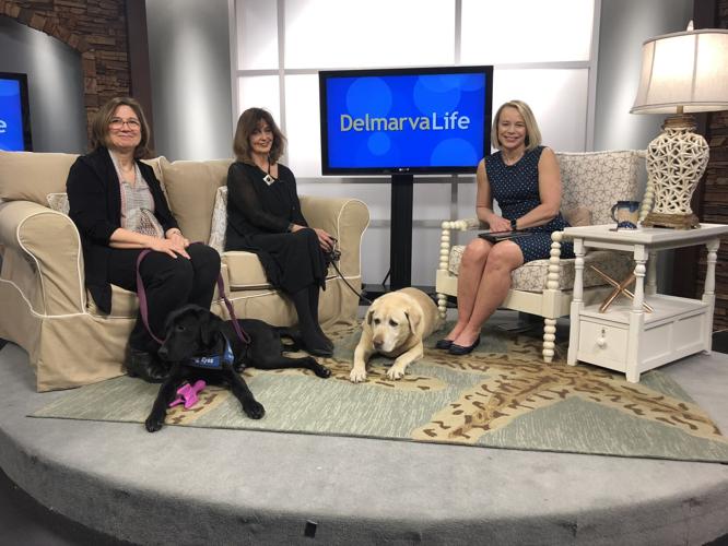 Guiding Eyes for the Blind