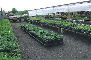 Jones Produce Farm