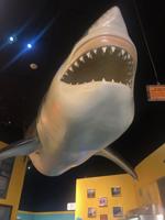 IMG-7058