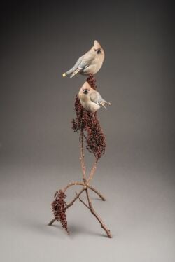 Barth2015 Waxwings_250