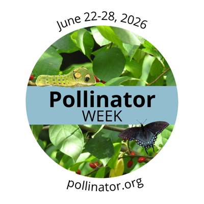 A Big Year for Butterflies (and Moths!): 40 State Governors Show Support for Annual Pollinator Week