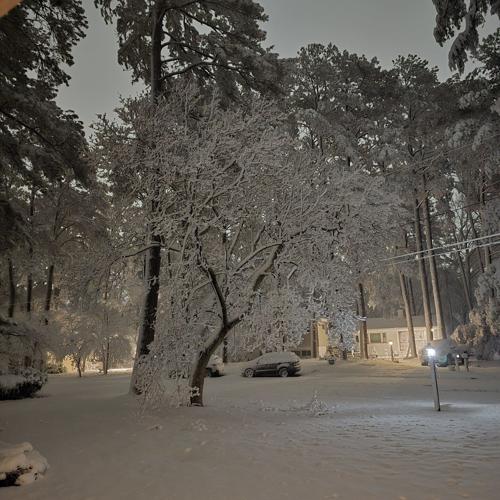 Boni Rychener - Salisbury, Md.