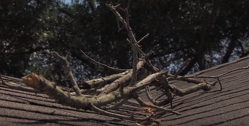 peninsula-roofing-tree-limb