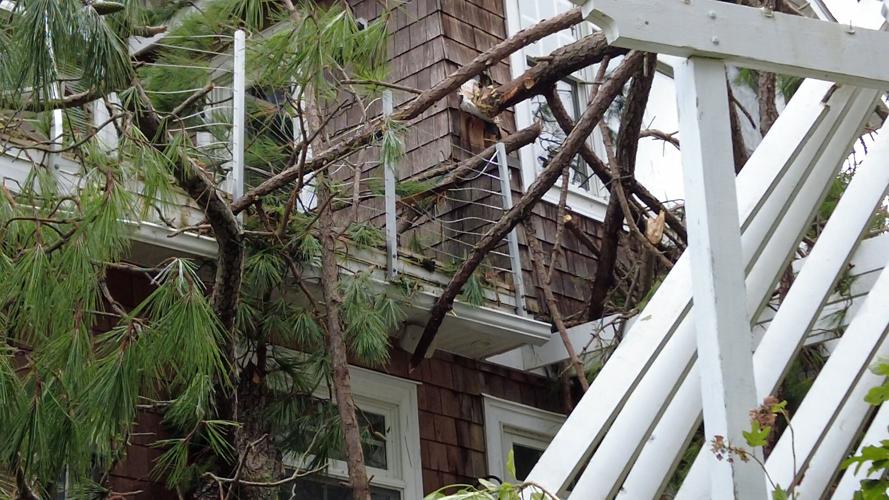 House with Tree