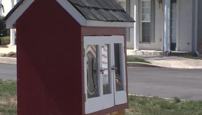 Lewes Library Kiosk Causes Controversy