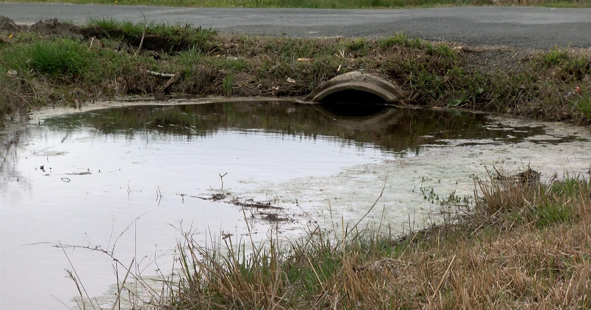 Flooding in Ditches on County Roads Spark Concern with Accomack County Residents - Vimarsana News