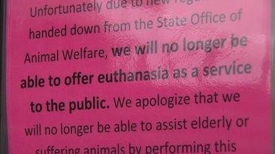 Kent County Shelter Stops Offering Euthanasia for Pets