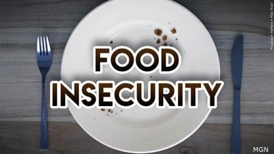 Food Insecurity Graphic