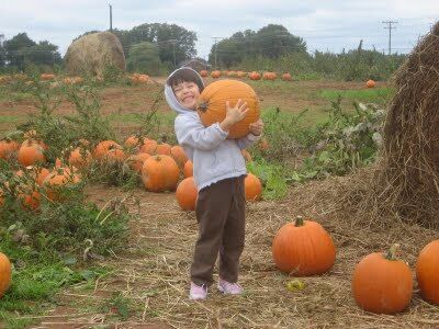 Emily’s Produce