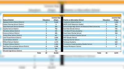 State Audit Report