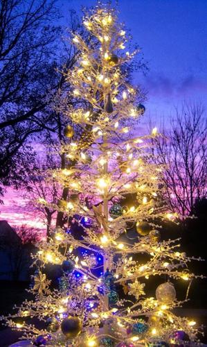 Beth-Vogdes-No-location