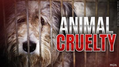 Animal Cruelty Generic 2