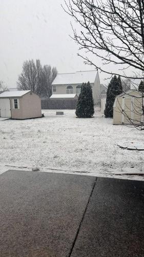 Zubia Ishtiaq Salisbury 2.jpg