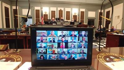 Delaware House Meets Digitally as 150th General Assembly Resumes Work After COVID-19 Postponement
