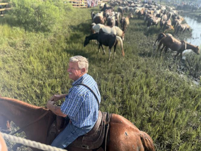 Photo Jul 30 2025, 8 30 44 AM.jpg