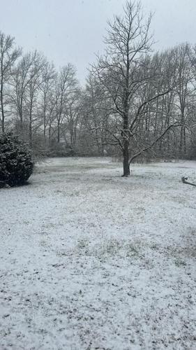 Donna Clogg Robbins Dagsboro.jpg