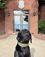 Salisbury Police welcome new K9 member
