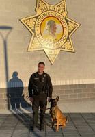 Wicomico County Sheriff’s Office Introduces Newest K9