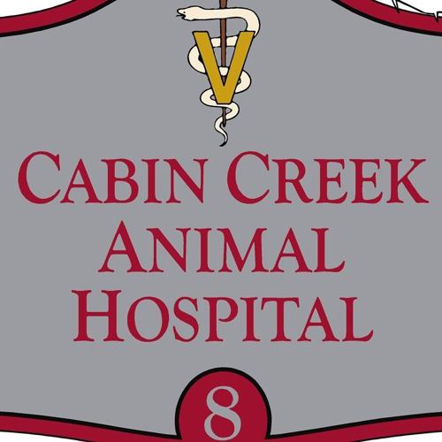 69864027_2458747794160819_1842754751981158400_o