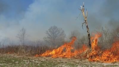 Controlled Burn Season Underway