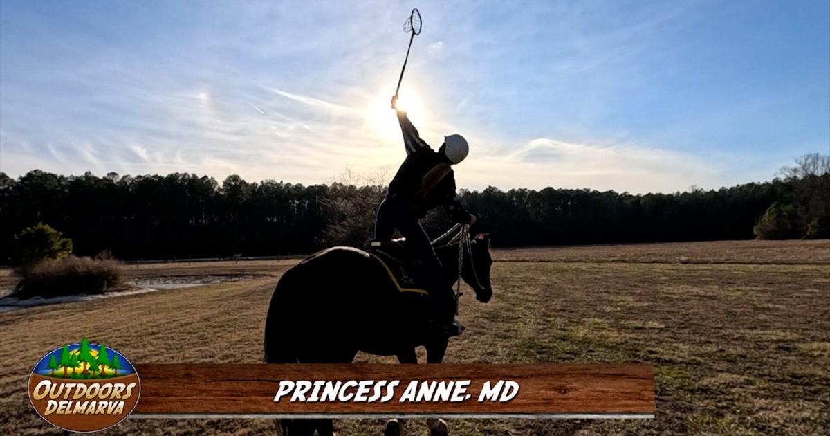 An Introduction to Polocrosse with Lilly Poe of Princess Anne, MD ...
