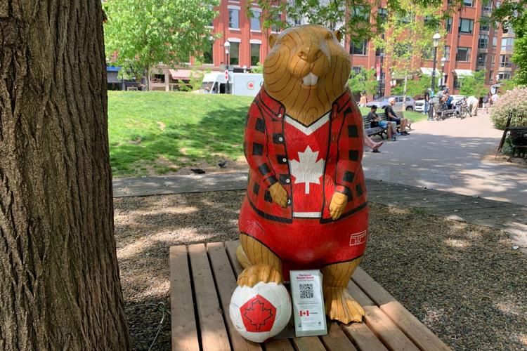 WCup Toronto Beaver Quest Soccer