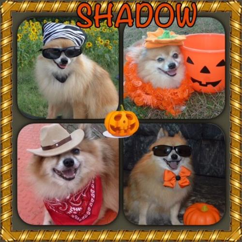 Tammy Massey, Seaford, DE.