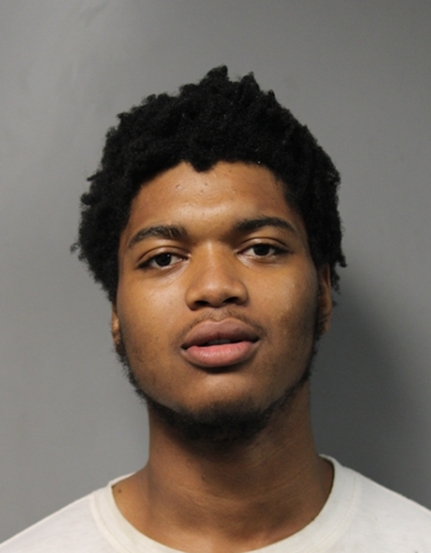 Neshawn Gibbs mugshot