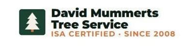 David Mummerts Tree Service Warns Unsafe Tree Removal Practices Are Increasing Storm Damage Risks