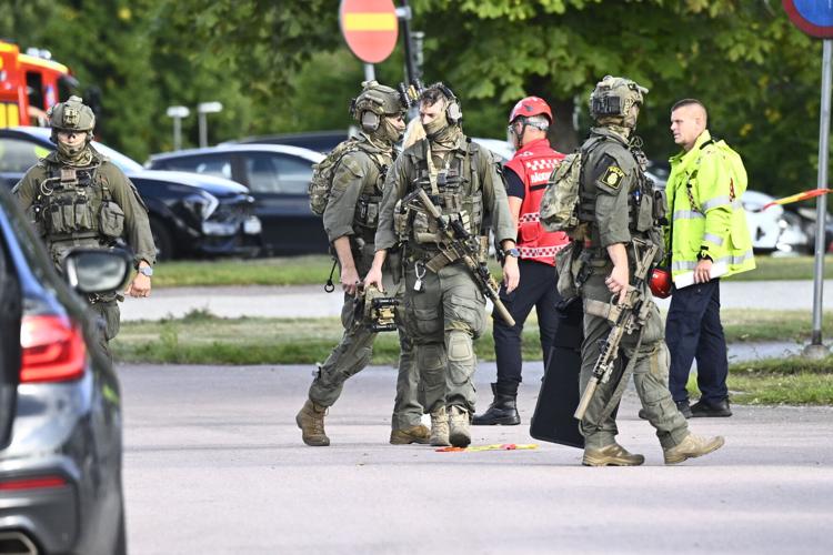 Sweden Sword Attack