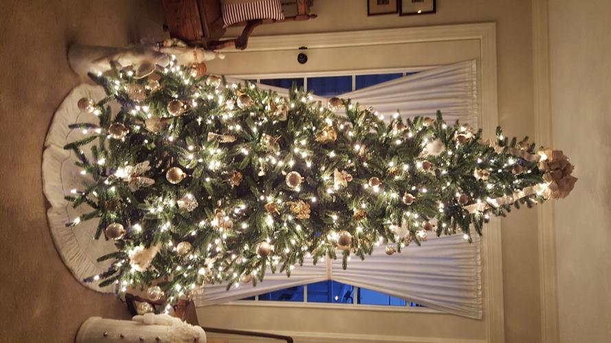 Carol-Allan-Webster-in-Marion-Station-MD