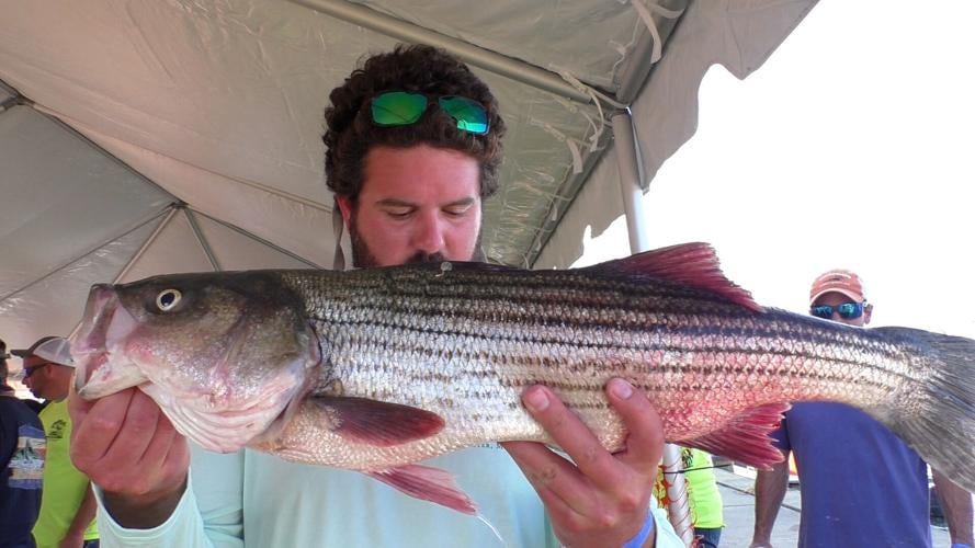 MidShore Officials Stand with Fishermen Against Rockfish Regulations