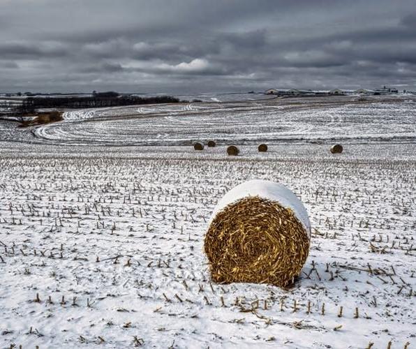 Winter Nutrient Application Ban Starts December 7