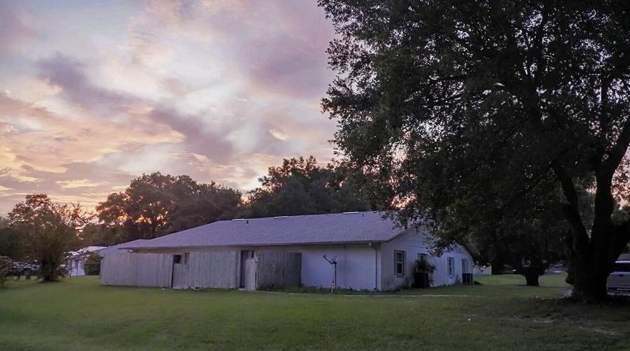 The Perfect Neighbor1