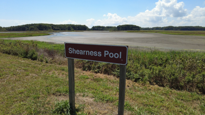 Dry Pool