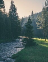 Michael Alan Borland.jpg