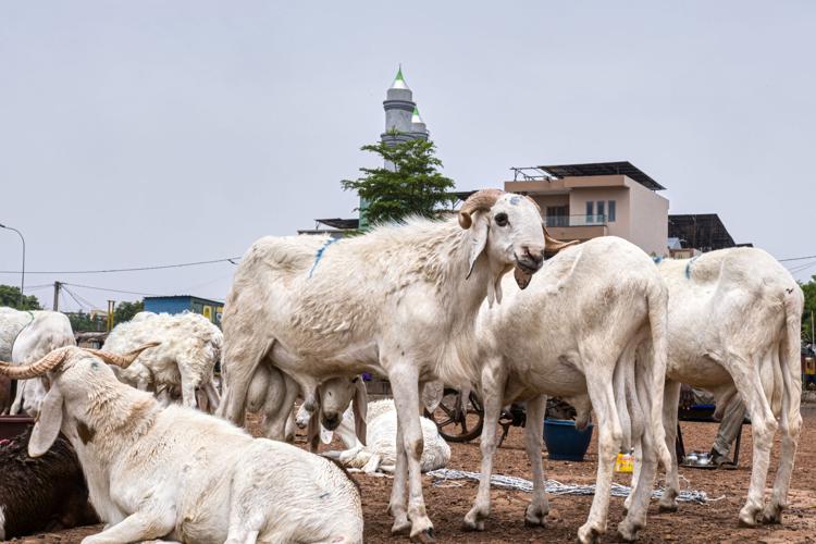 Mali Eid