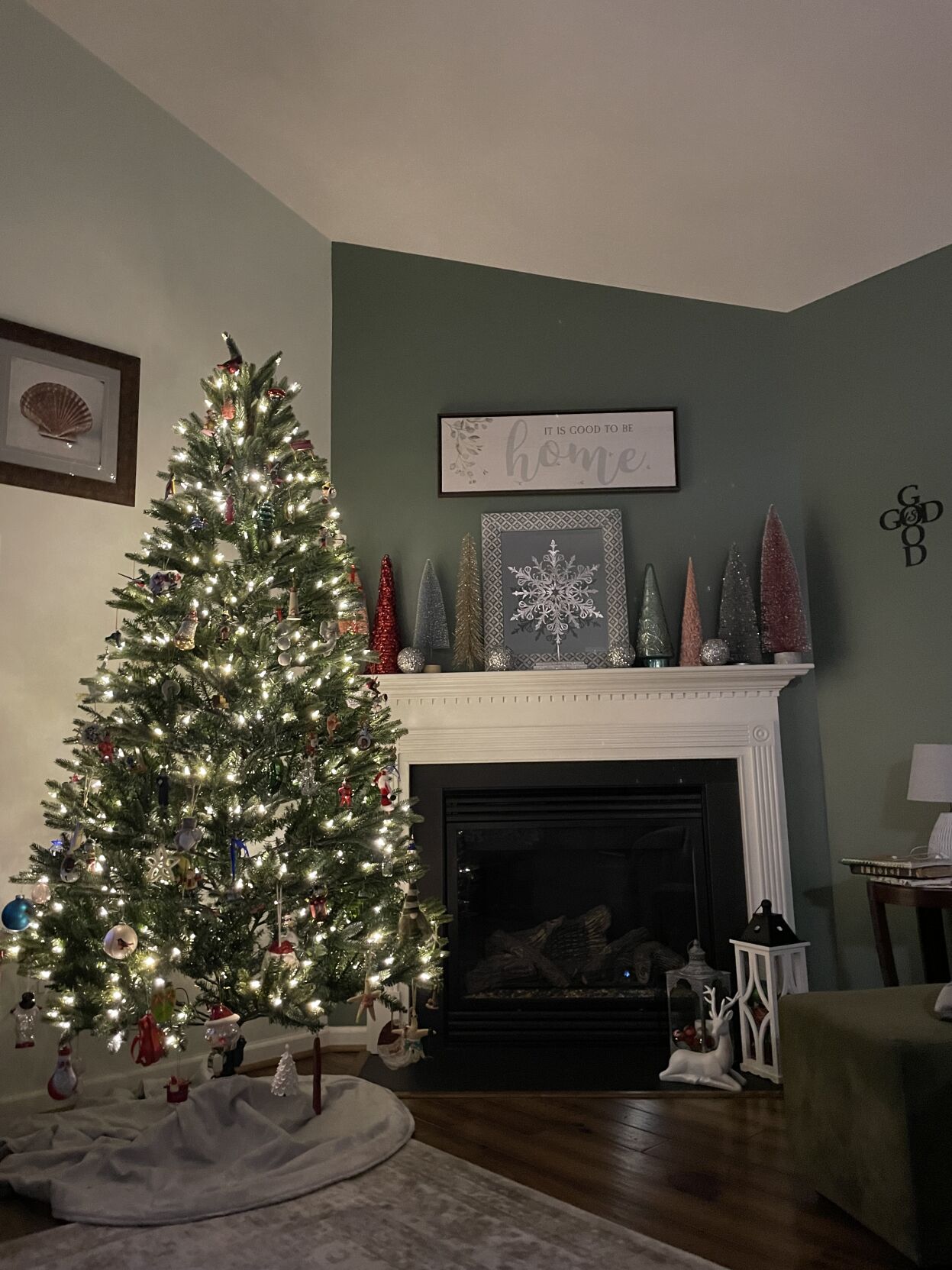 Jeanne Taylor's tree in Millville, Del.