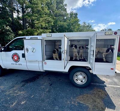 Some recently-seized dogs off to new shelters across Delmarva.