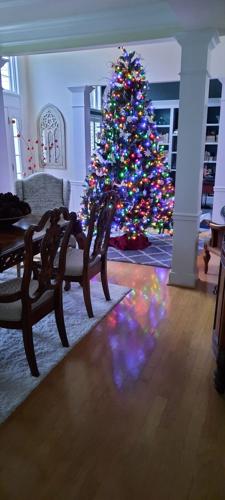 Gerard and Sandra Bellerose's tree in Easton, Md.